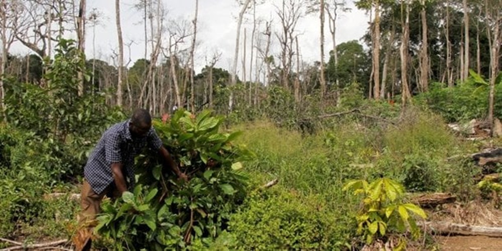 La Côte d’Ivoire renforce son engagement environnemental avec l’élaboration des CDN 3.0